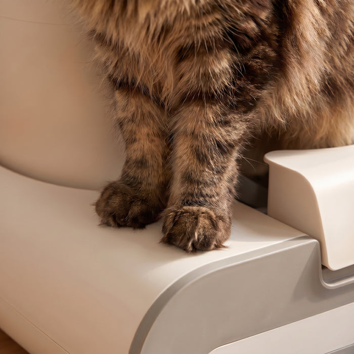 pdp: close-up of paws on the clean entry platform