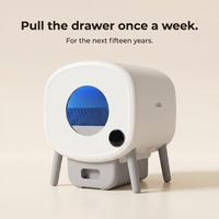 BeCat self-cleaning litter box
