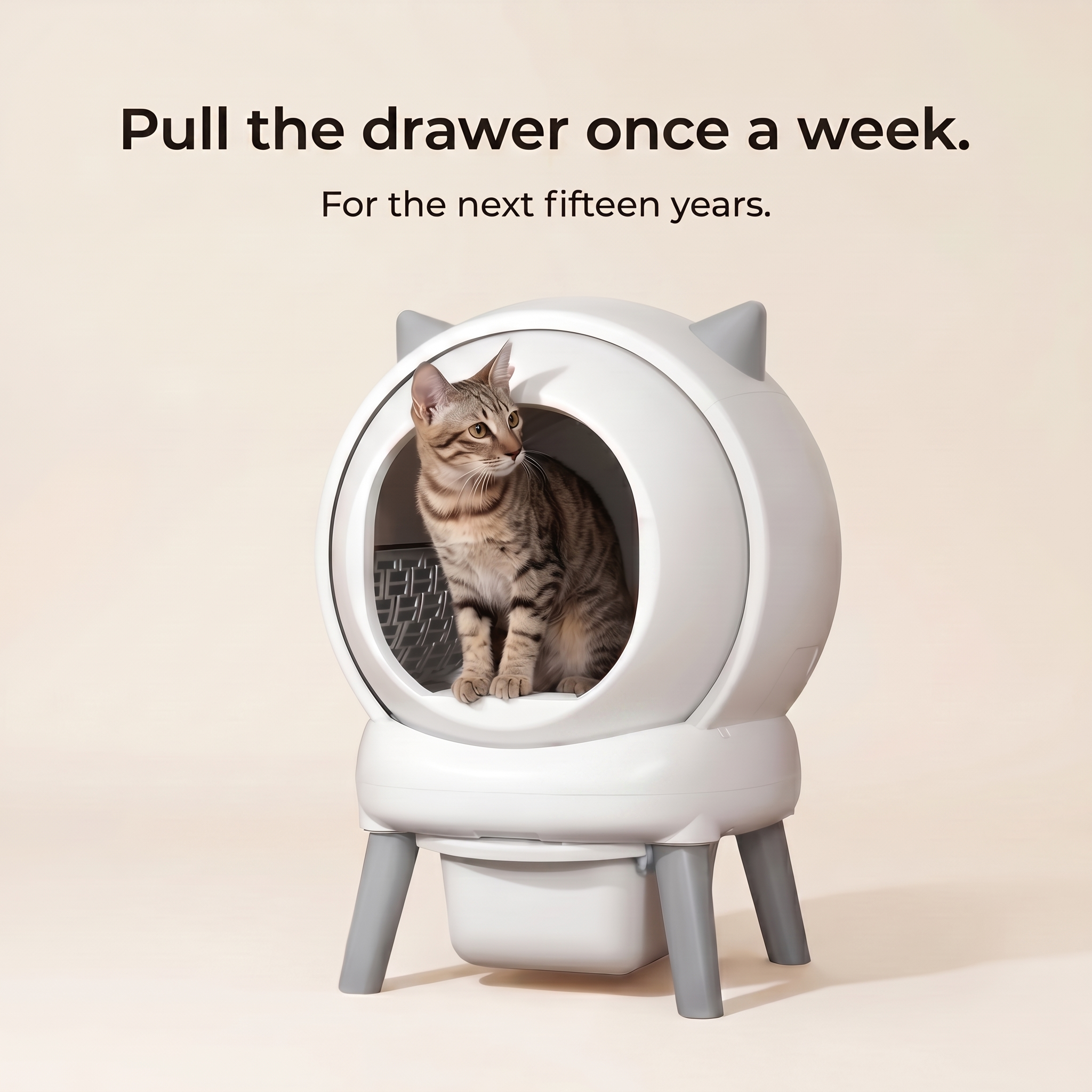 BeCat self-cleaning litter box