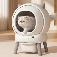 pdp: close-up of cat face near box entrance