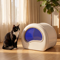 pdp: full home lifestyle scene with cat and box