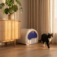 pdp: full home lifestyle scene with cat and box