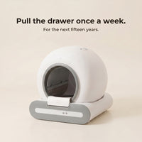 BeCat self-cleaning litter box