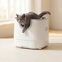 BeCat self-cleaning litter box