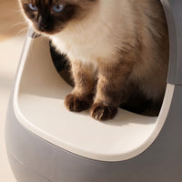 pdp: close-up of paws on the clean entry platform
