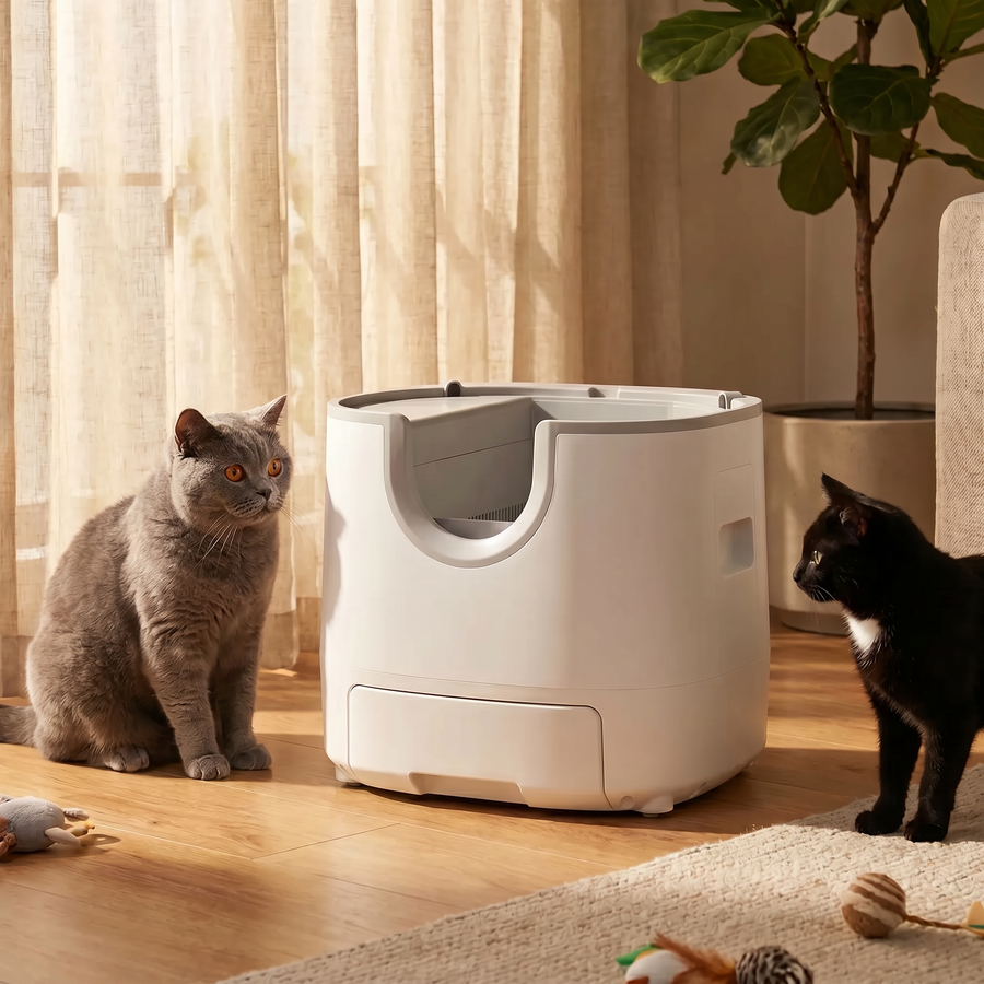 BeCat self-cleaning litter box - two cats from a multi-cat household near the box