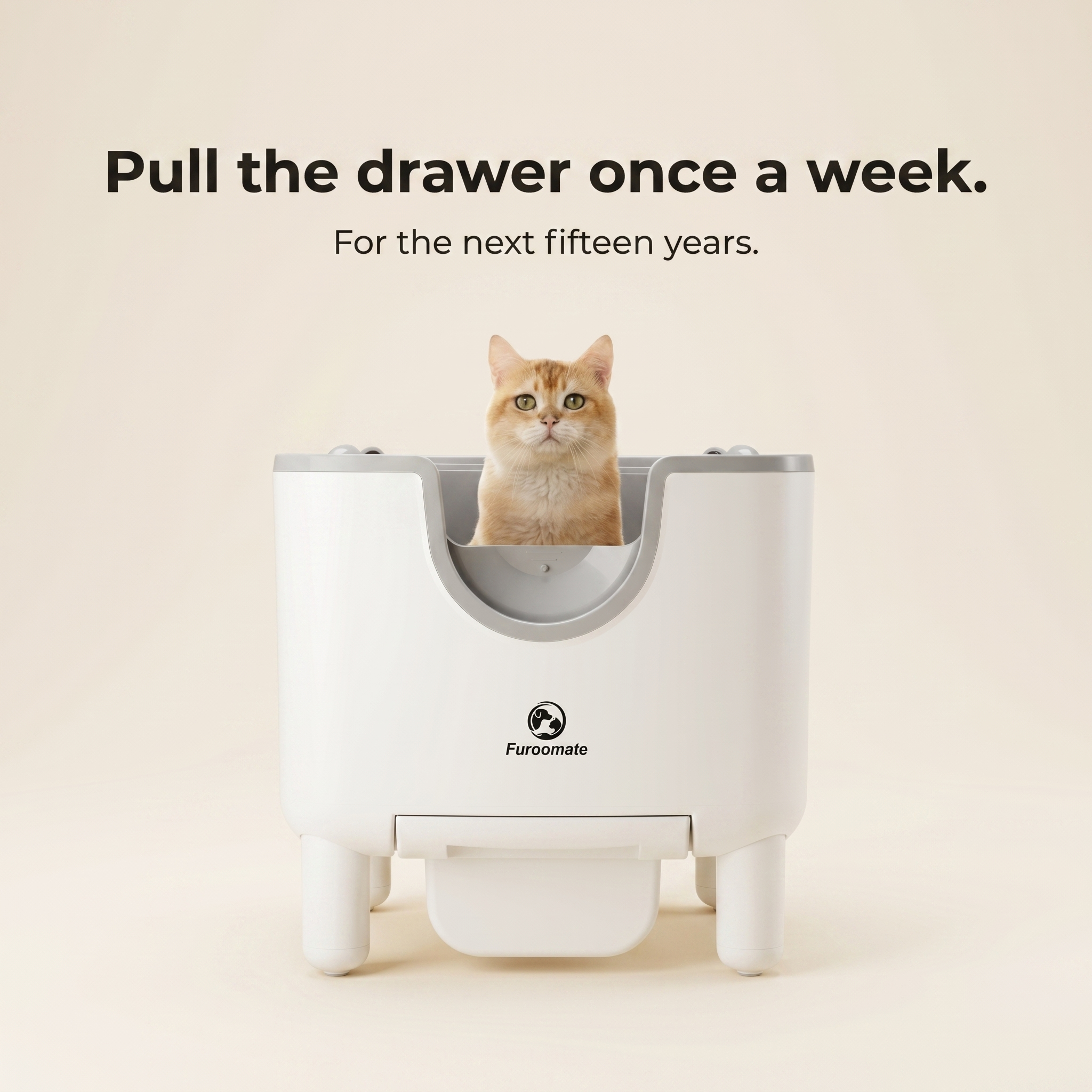BeCat self-cleaning litter box