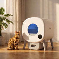 pdp: full home lifestyle scene with cat and box