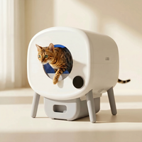 pdp: close-up of cat face near box entrance